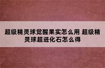 超级精灵球觉醒果实怎么用 超级精灵球超进化石怎么得